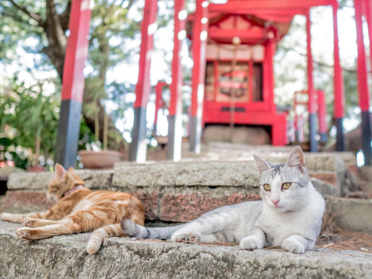 山城天嵐庭園民宿 Пулі Екстер'єр фото